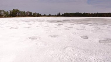 Kurutulmuş Tuz Gölü Çam Ormanıyla çevrili 