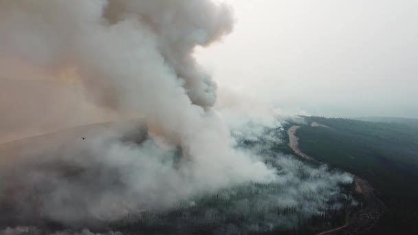 Episk Skog Australian Wildfire Drone View Moln Rök Flyger Ovanför — Stockvideo