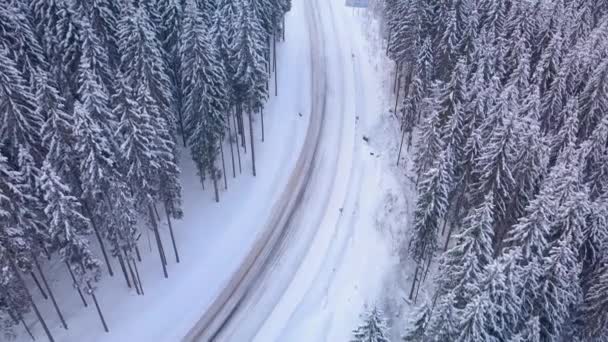 Vuelo Aéreo Sobre Bosque Invierno Con Carretera — Vídeo de stock