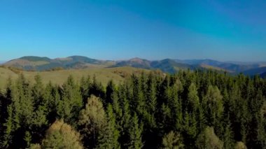 Karpat Dağlarının Güzel Doğasının Havadan Görünümü