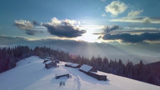 Flyg Över Hus Och Vinterskog — Stockvideo