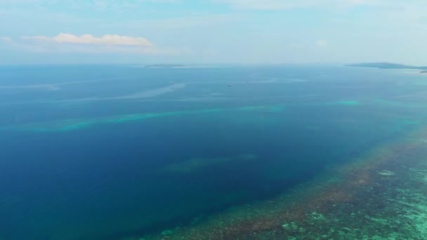 Εναέρια Μολυσμένη Ακτογραμμή Τροπική Παραλία Καραϊβική Θάλασσα Κοραλλιογενής Ύφαλος Φοινικόδασος — Αρχείο Βίντεο