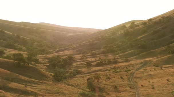 夕日の光の下で丘を飛ぶ — ストック動画
