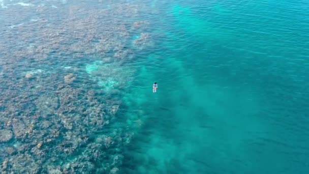 Snorkeling femme ralenti aérien sur récif corallien mer tropicale d'en haut 