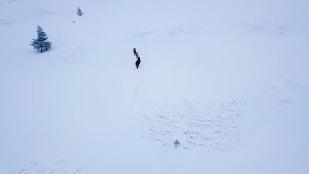 雪の斜面を登る観光客のグループを空中から見る — ストック動画