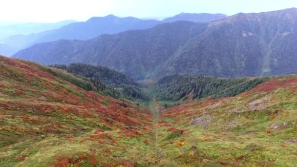 秋天的红色和橙色阴影下飞越深谷 — 图库视频影像