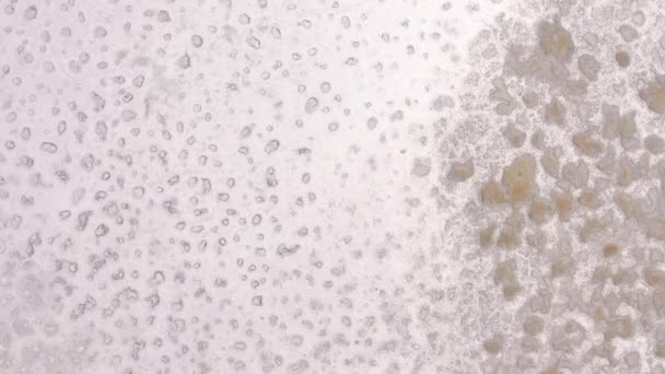 Очистить Соленую Текстуру Большое Солт Лейк Сити Большой Физраствор Воздушный — стоковое видео