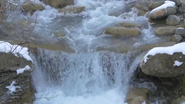 Ett Vattenfall Liten Flod — Stockvideo