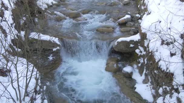 Une Cascade Une Petite Rivière — Video