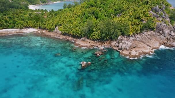 Voe Pela Ilha Tropical Exótica Selva Aérea Com Recife Coral — Vídeo de Stock