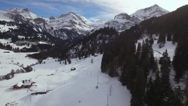 Aérea Valle Cubierto Nieve — Vídeos de Stock