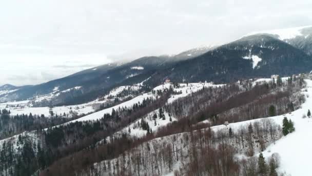 Vol Dessus Forêt Hiver Ukrainien Vue Aérienne Haut — Video