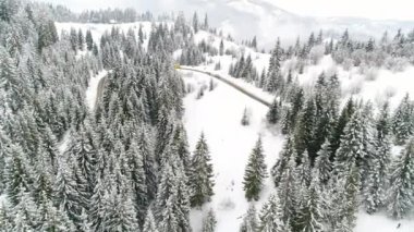 Ukrayna Kış Ormanı üzerinde Uçuş, Havadan Üst Görünüm 