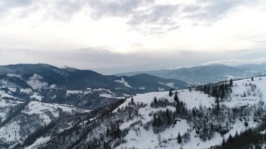 Ukrayna Kış Ormanı üzerinde Uçuş, Havadan Üst Görünüm 