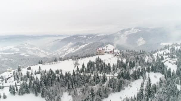 Vol Dessus Forêt Hiver Ukrainien Vue Aérienne Haut — Video