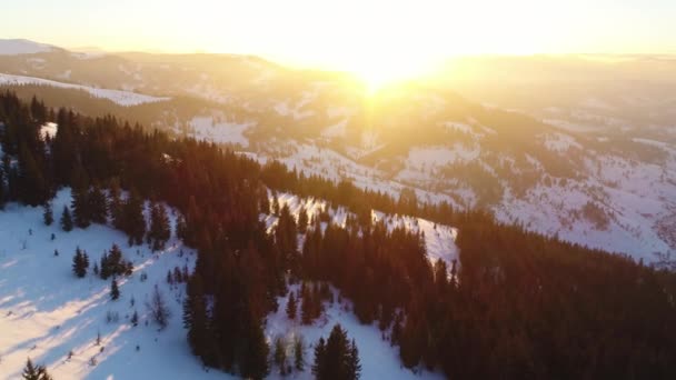 Вид Воздуха Зимнюю Гору Санрайз — стоковое видео