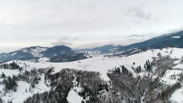 Repülés Ukrajna Felett Téli Erdő Aerial Top View — Stock videók