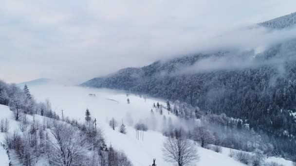 Luftaufnahme Nebligen Sonnenuntergang Winterberg — Stockvideo