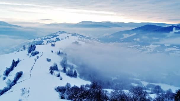 Aerial View Foggy Sunset Winter Mountain — Stock Video