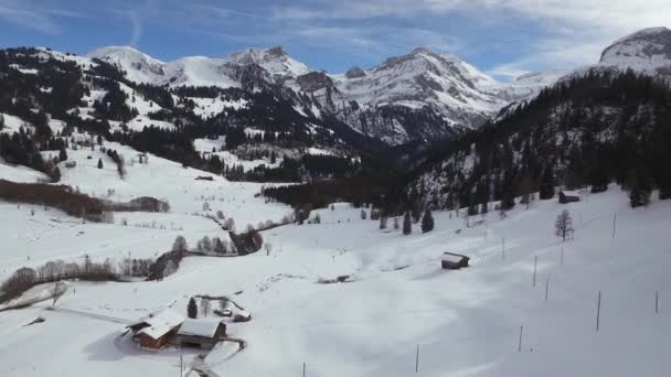 Vue Aérienne Une Vallée Enneigée — Video