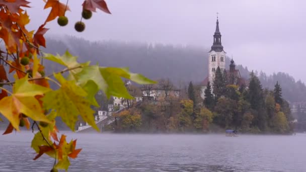 Bledské Jezero Ostrovní Kostel — Stock video