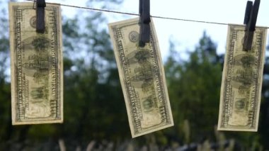 Kurutma Doları Banknotları Videosu