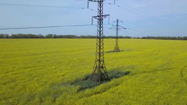 Высоковольтные Силовые Пилоны Жёлтом Поле — стоковое видео