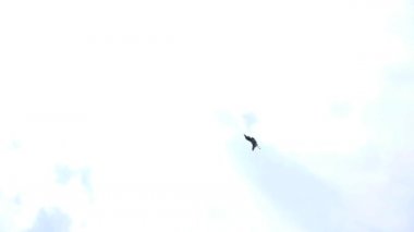 F16 Jet Show 'un videosu 