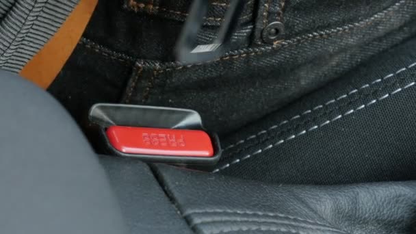 Ceinture Sécurité Trois Points Connectant Sur Support Voiture Vidéo — Video