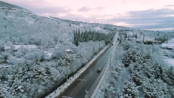 Téli Erdő Mozgó Járművel — Stock videók