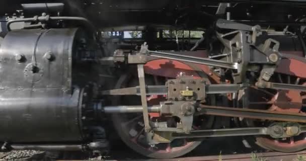 Video Del Tren Locomotoras Vapor — Vídeos de Stock