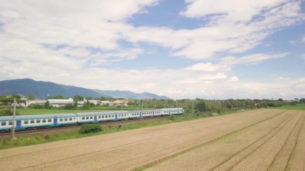 Τρένο Στο Χωράφι Σιτάρι — Αρχείο Βίντεο