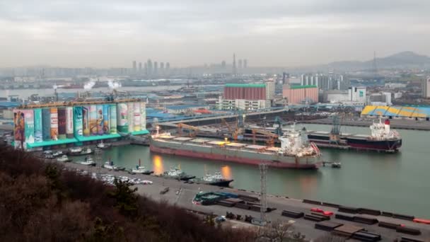Timelapse Large Freighters Moor Сайті Incheon Port Berth — стокове відео