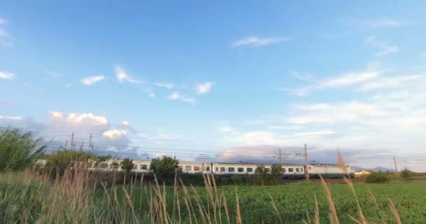 Белый Поезд Над Лугом Сельской Местности — стоковое видео