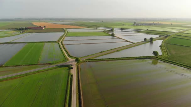 Voando Sobre Arrozais Campos Cultivados Inundados Farmland — Vídeo de Stock