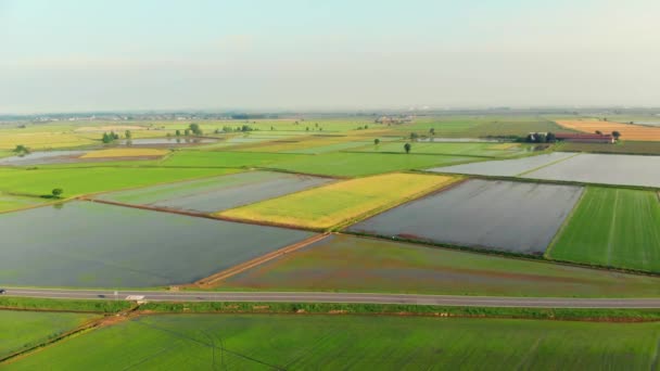 Flying Rice Paddies Flooded Cultivated Fields Farmland — Stock video