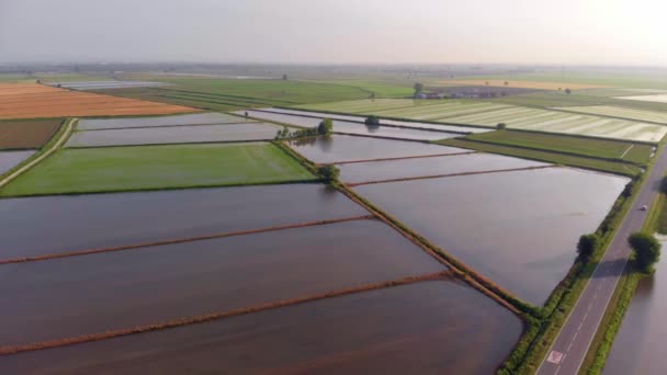 Voando Sobre Arrozais Campos Cultivados Inundados Farmland — Vídeo de Stock