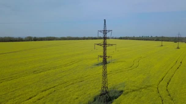 Pylon Mocy Wysokiego Napięcia — Wideo stockowe