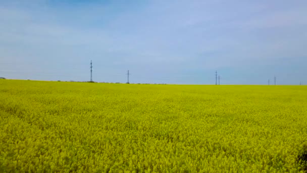 Pilón Potencia Alto Voltaje — Vídeos de Stock