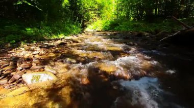 Dağ Akıntısı Manzarası Videosu 