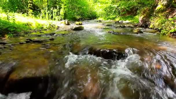 Video Van Mountain Stream Landschap — Stockvideo