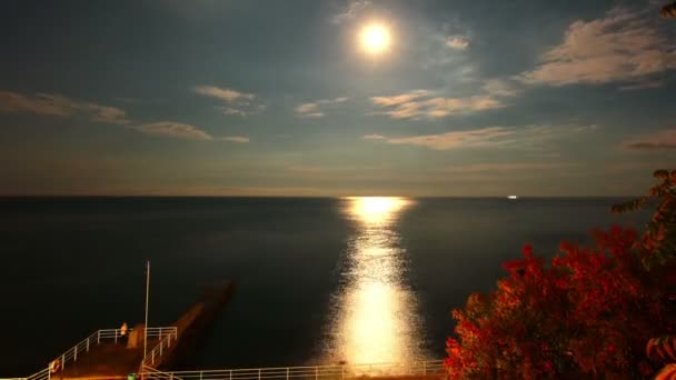 Nacht Und Meer — Stockvideo