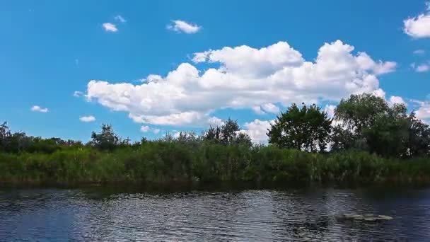 Vidéo du paysage naturel de la rivière 
