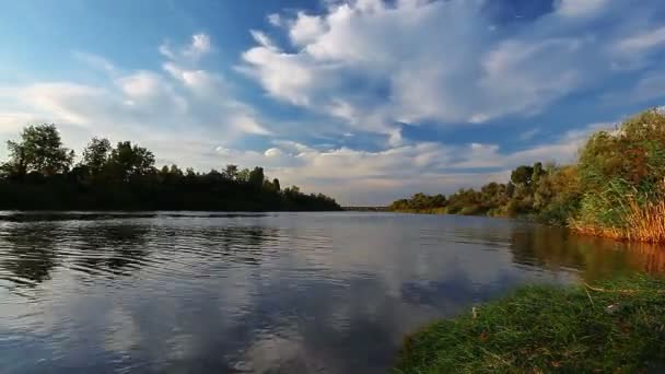 Video Del Paesaggio Naturale Fluviale — Video Stock