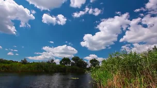 Video Del Paesaggio Naturale Fluviale — Video Stock