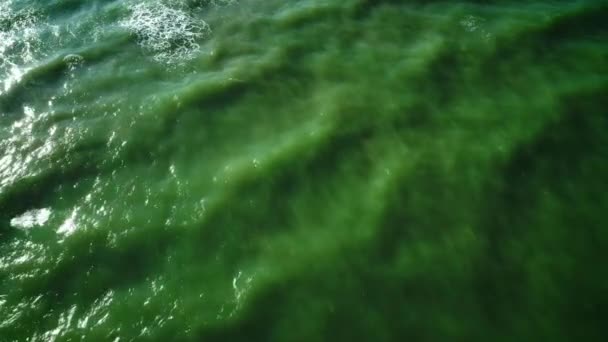 Ondas Mar Belo Mar Manhã — Vídeo de Stock