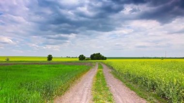 Yaz Doğa Manzarası Videosu 