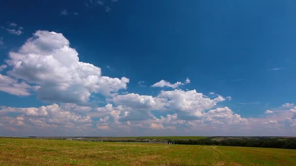 Video Van Zomer Natuur Landschap — Stockvideo