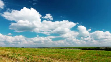 Yaz Doğa Manzarası Videosu