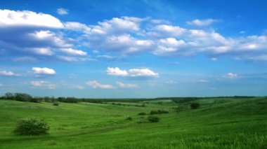 Yaz Doğa Manzarası Videosu 